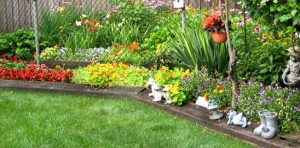 garden flowers