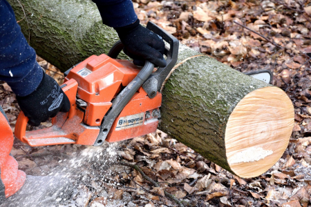 cutting wood