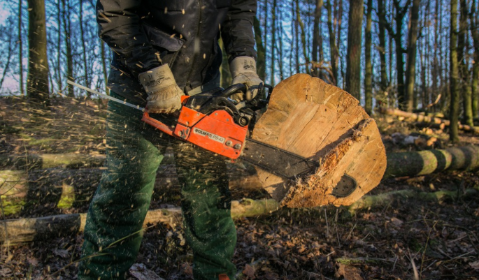 cutting trees with a power saw