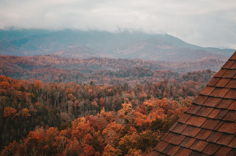 autumn